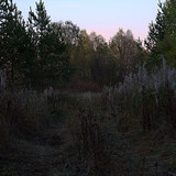 IMG 1628