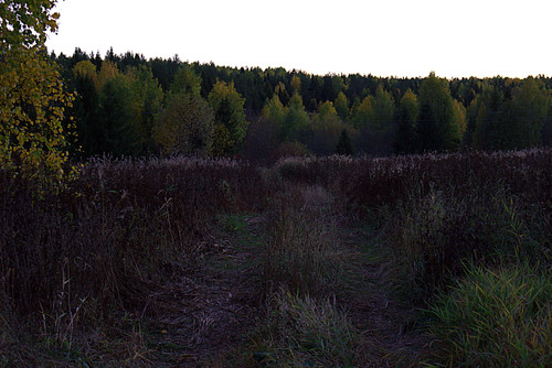 IMG 1635.jpg