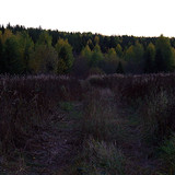 IMG 1635