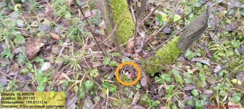 IMG 20221112 215302 528.jpg