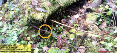 IMG 20221112 215307 320.jpg