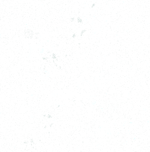 green dust and scratches.png