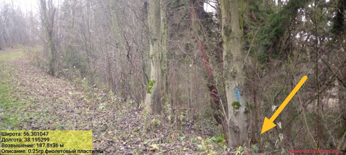 IMG 20221112 215800 287.jpg
