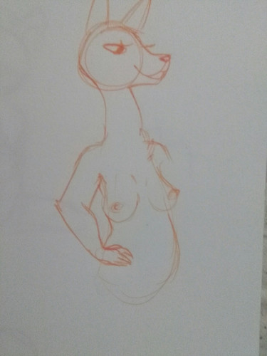 JPEG 20170511 072441.jpg