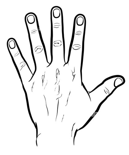 Left hand 2.jpg