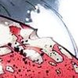 alice1 37