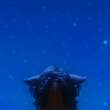 unknown