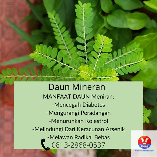desain daun mineran 4.png