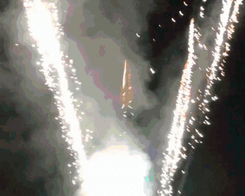 Feliz Aniversario Mamae Amy Hartz 11 11 By Agness As.gif