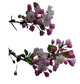 0 ec12d a96ebb20 L (1).webp