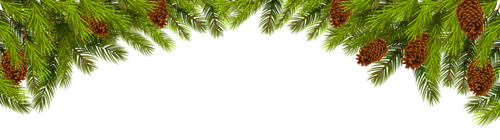 Christmas Pine Branch Decoration PNG Clip Art Image.png