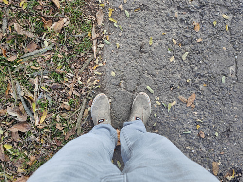 IMG20221028154414.jpg