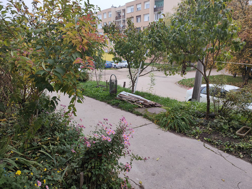 IMG20221030073657.jpg