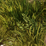 51ffc17988a4.png