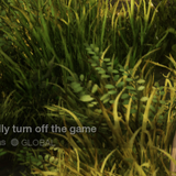 8324c8952bd4.png