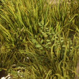 20cb8c80c079.png