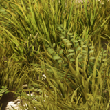 c6dc4fd0edb6.png