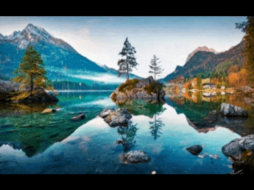 GIF 221109 095909.gif