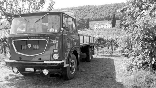 scotta1 1024x577.jpg