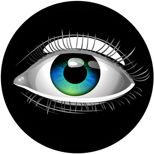 vision roleplay logo.png