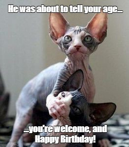 sphynx.jpg