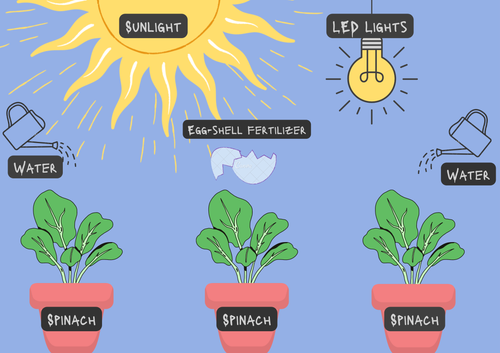 Sunlight.png