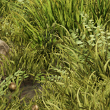 aa25dd69427b.png