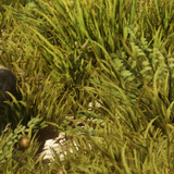 9e997adad39b.png