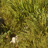 dce4dc59da1a.png