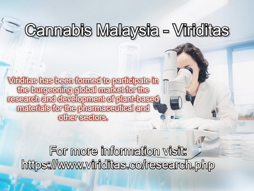 Cannabis Malaysia Viriditas Malaysia.jpg