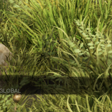 8c740d074039.png