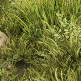 f4b6fba77037.png