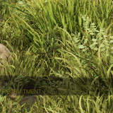 8c90915edd4a.png