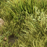 e3ae649f6f3f.png