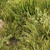 1831f351140f.png