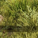 9d890eb09c67.png