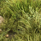 7e53f4fd54b5.png