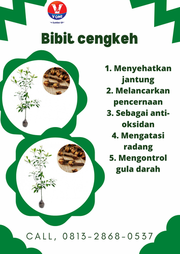 TERMURAH !!, CALL 0813 2868 0537, Bibit Cengkeh Bersertifikat Tambak Bayumas.png
