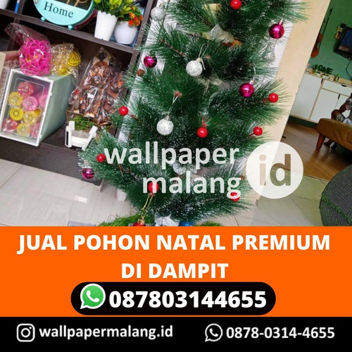 JUAL POHON NATAL PREMIUM DI DAMPIT.jpg