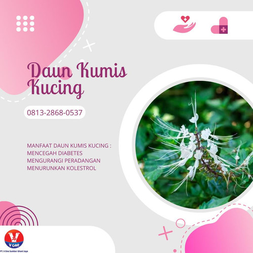 Desain Kumis Kucing 53.jpg