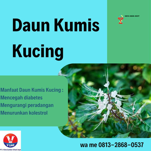 Desain Kumis Kucing 52.jpg