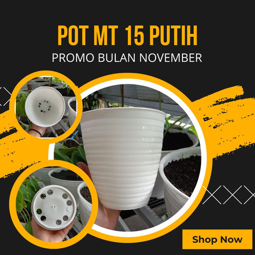 POT MT 15 PUTIH.jpg