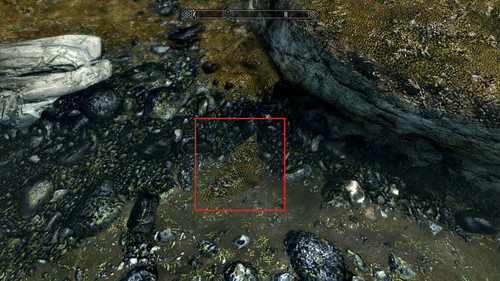 Whiterun Seam 2.jpg