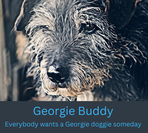 Georgie Buddy Logo 2.png
