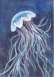 1 1.png