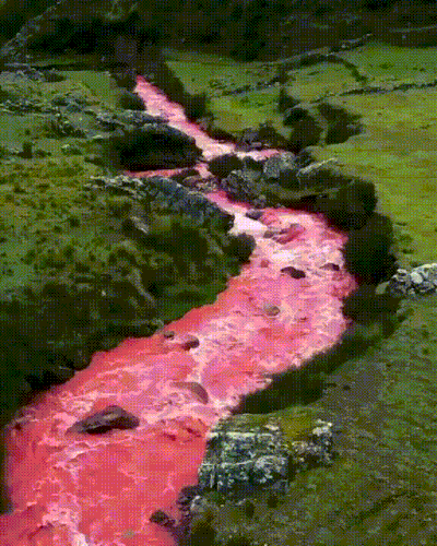 reka.gif