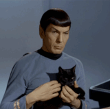 spock2.gif