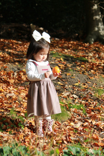 IMG 4962.jpg