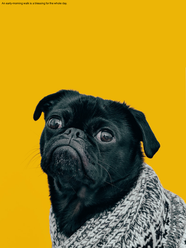 197c0b43d2b8.png