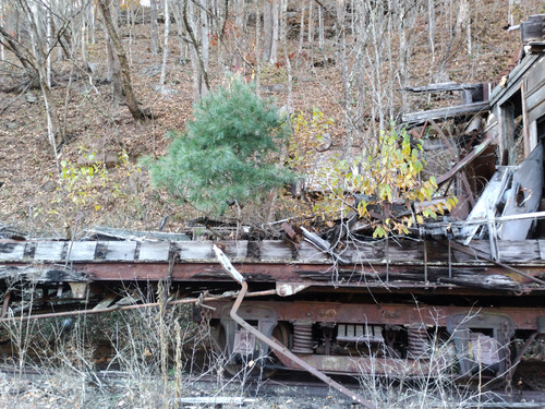 IMG 20221024 170622.jpg